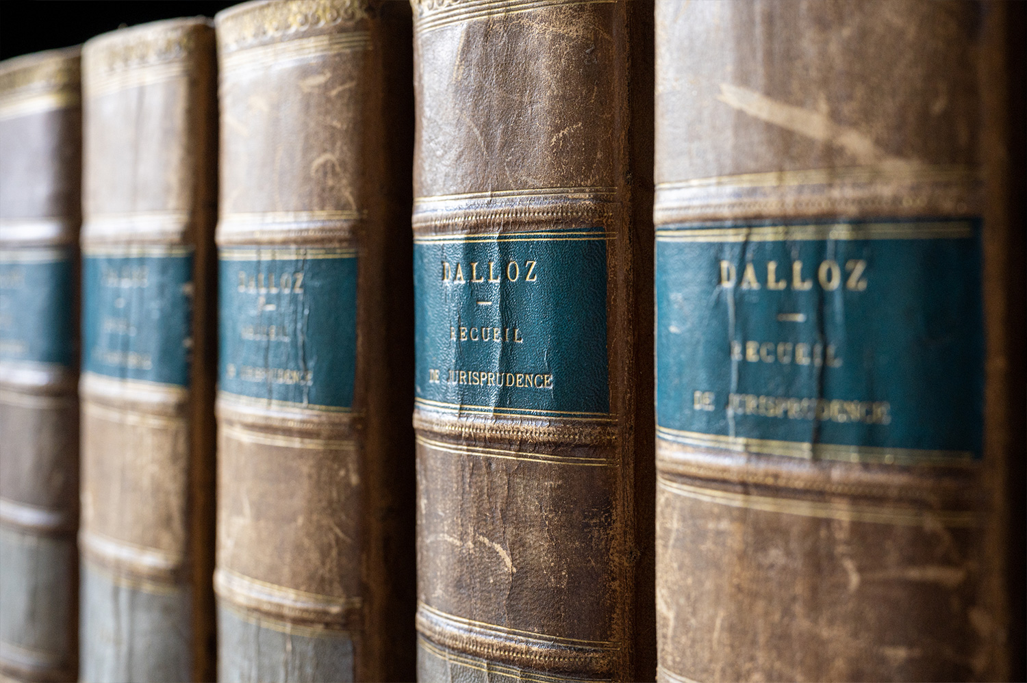 Expertise en droit public et privé - Dijon