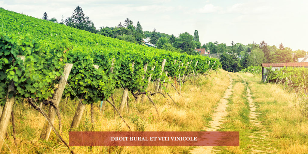Droit rural et viti vinicole